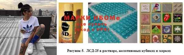 spice Аркадак