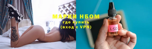 spice Аркадак